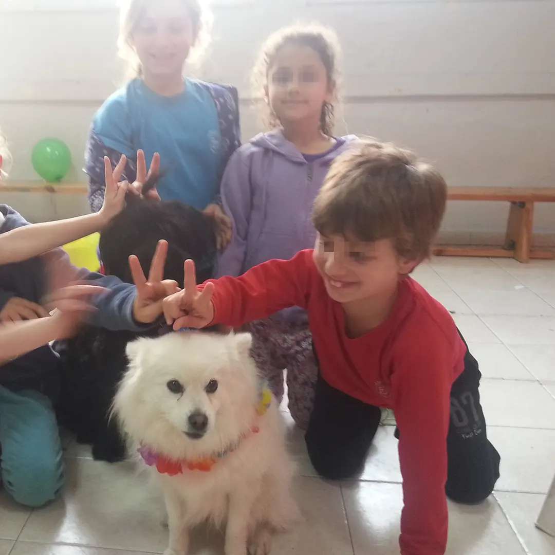 מכשכשים עם כלבים