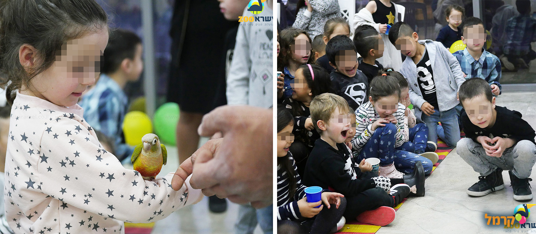 IsraZoo חיות אקזוטיות - 073-7026788