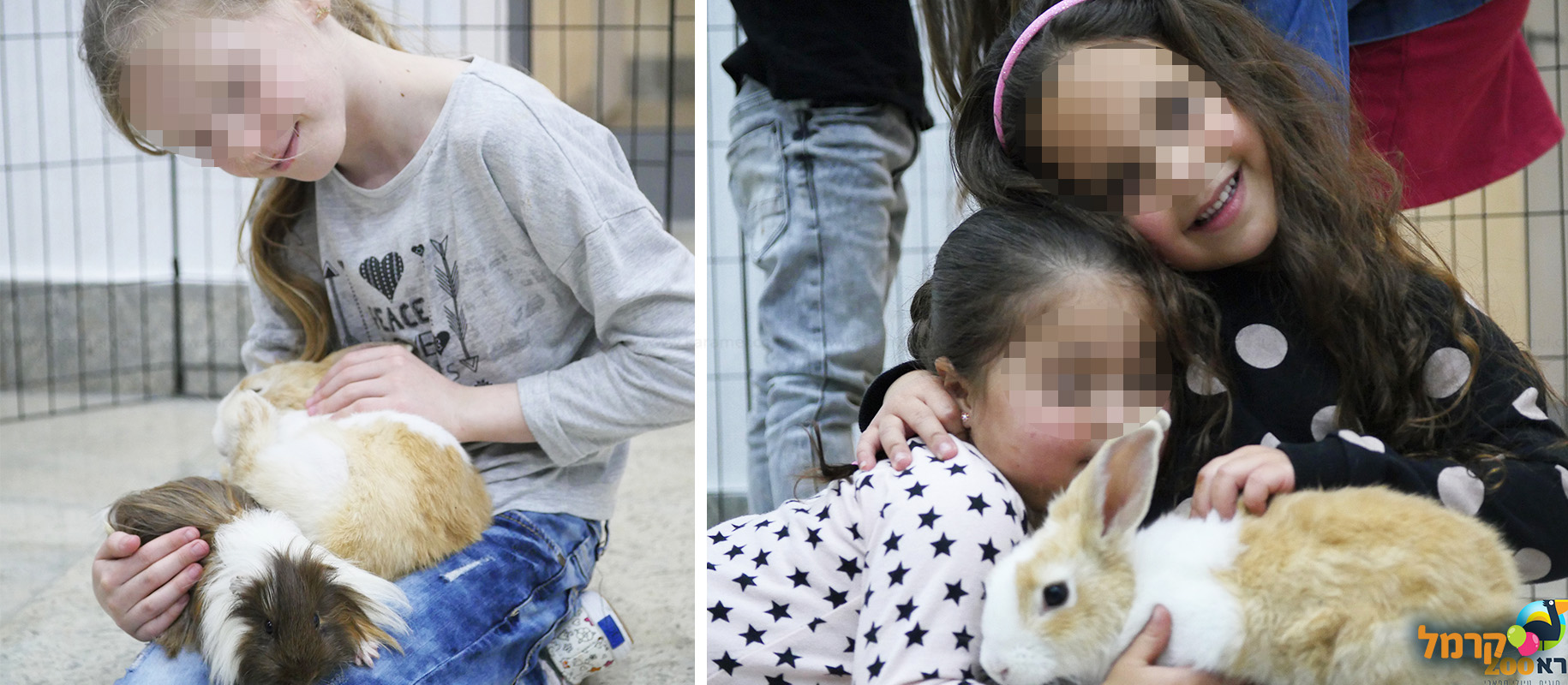 IsraZoo חיות אקזוטיות - 073-7026788