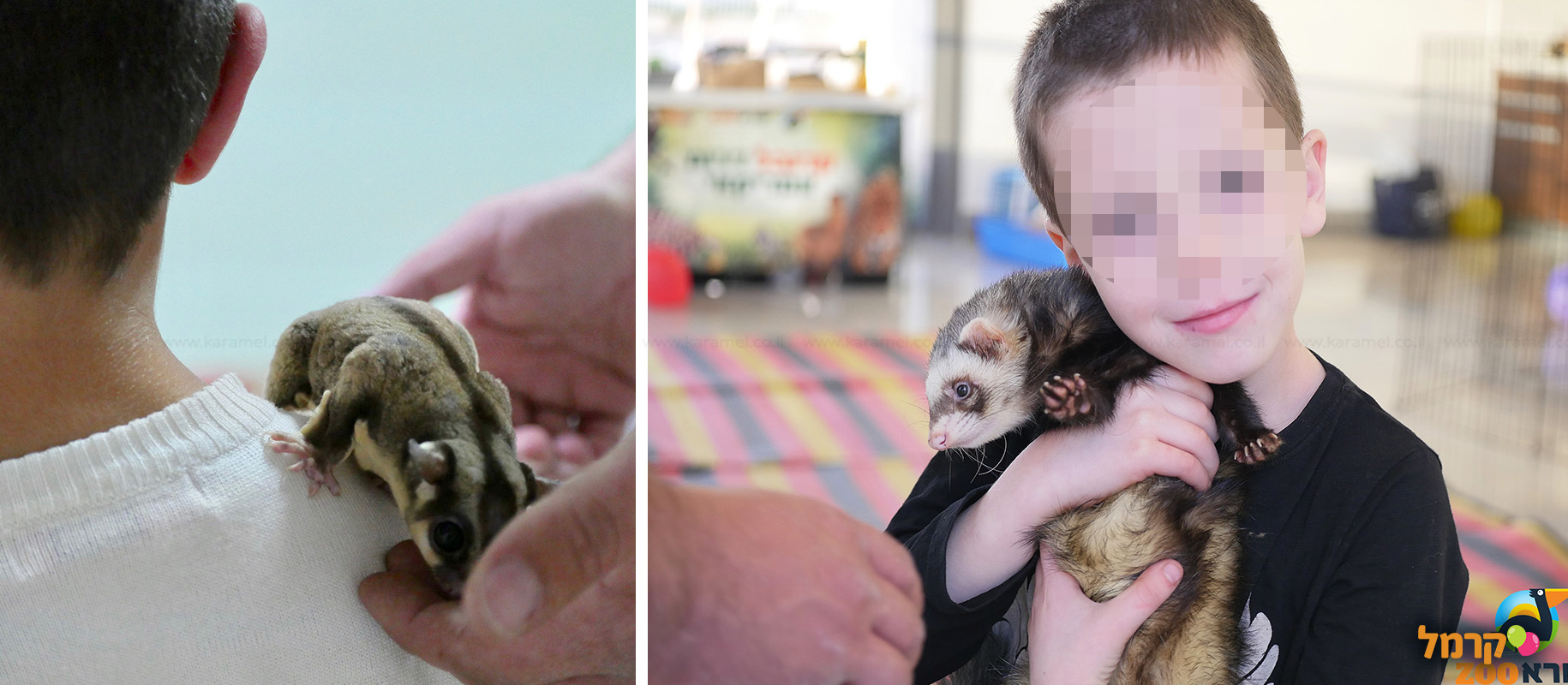 IsraZoo חיות אקזוטיות - 073-7026788