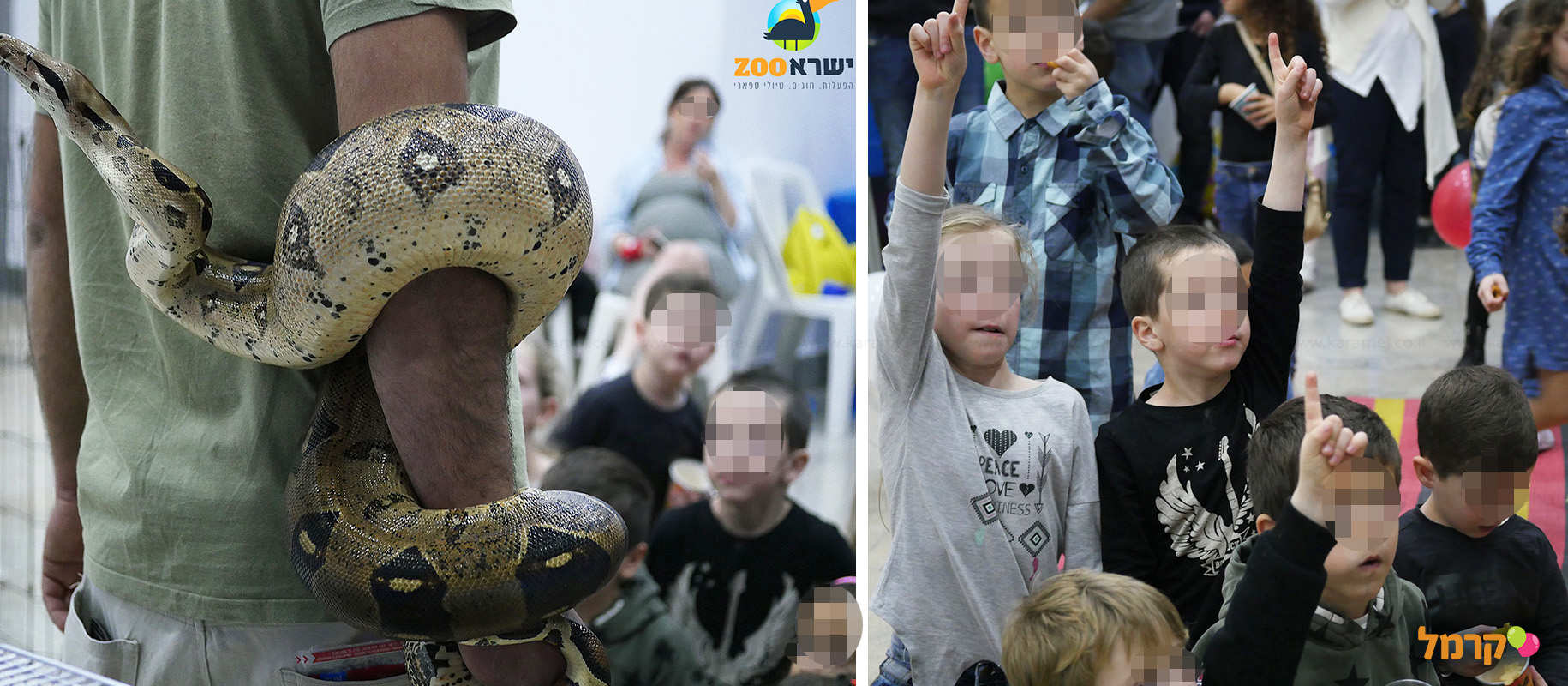 IsraZoo חיות אקזוטיות - 073-7026788