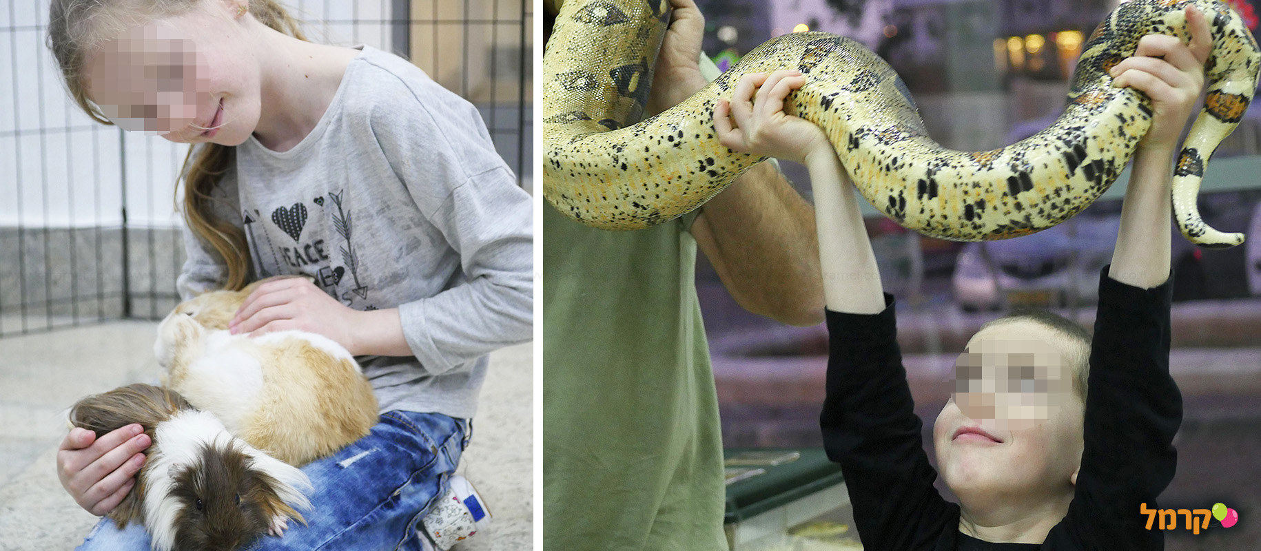 IsraZoo חיות אקזוטיות - 073-7026788