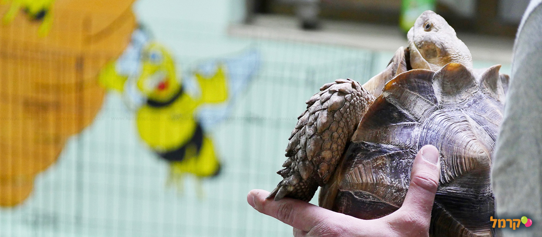 IsraZoo חיות אקזוטיות - 073-7026788