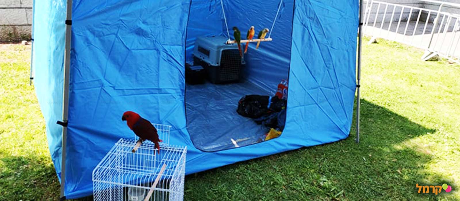 IsraZoo חיות אקזוטיות - 073-7026788