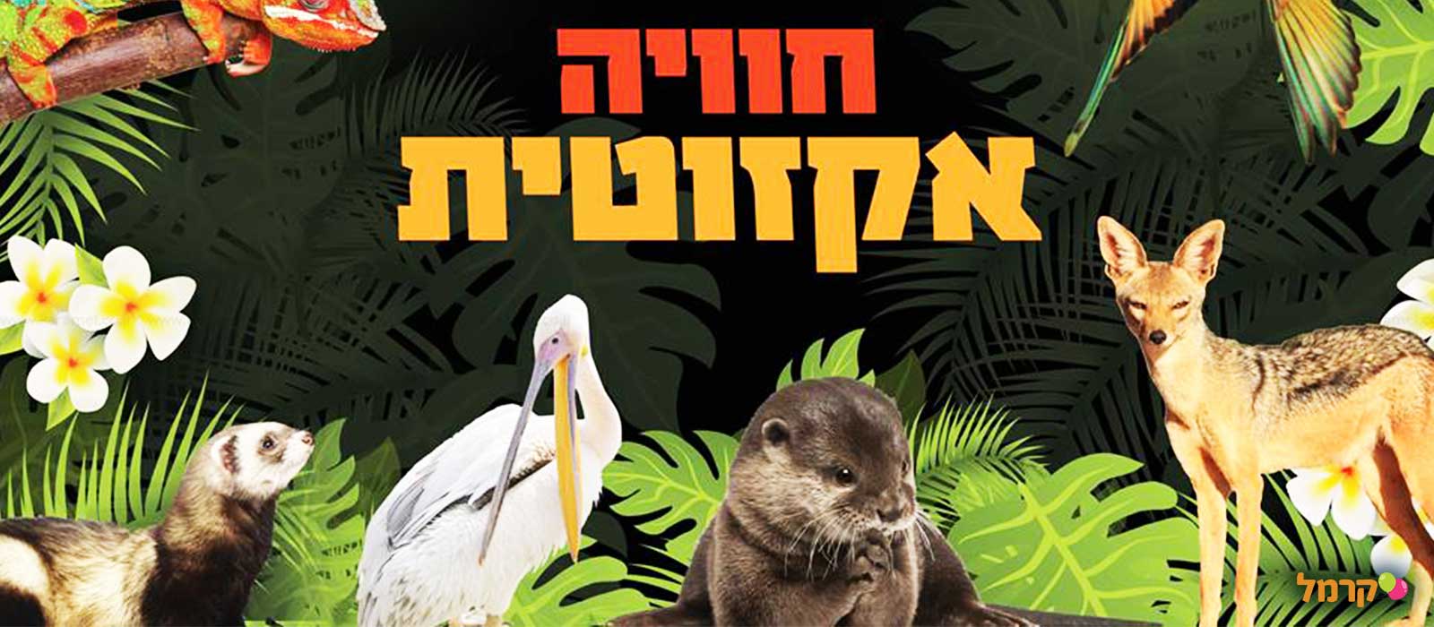 IsraZoo חיות אקזוטיות - 073-7026788