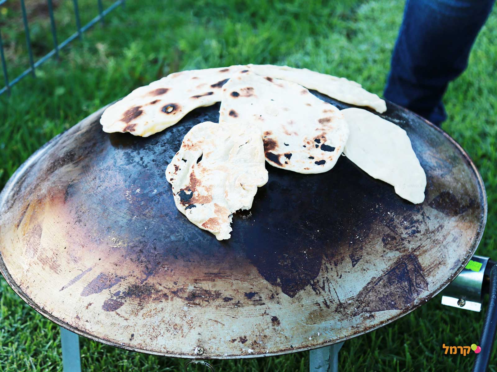 שי בכיף עולם של חיות - 073-7590568