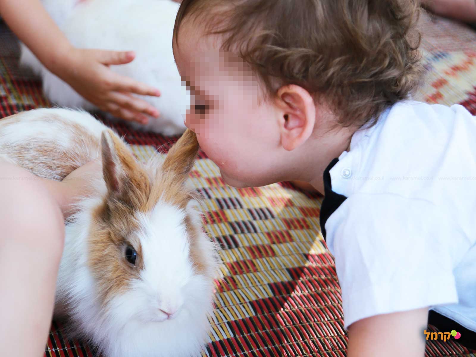 שי בכיף עולם של חיות - 073-7590568