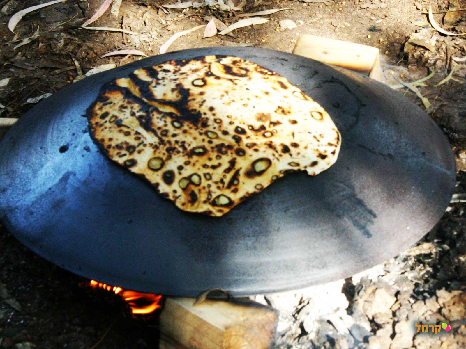 שי בכיף עולם של חיות - 073-7590568