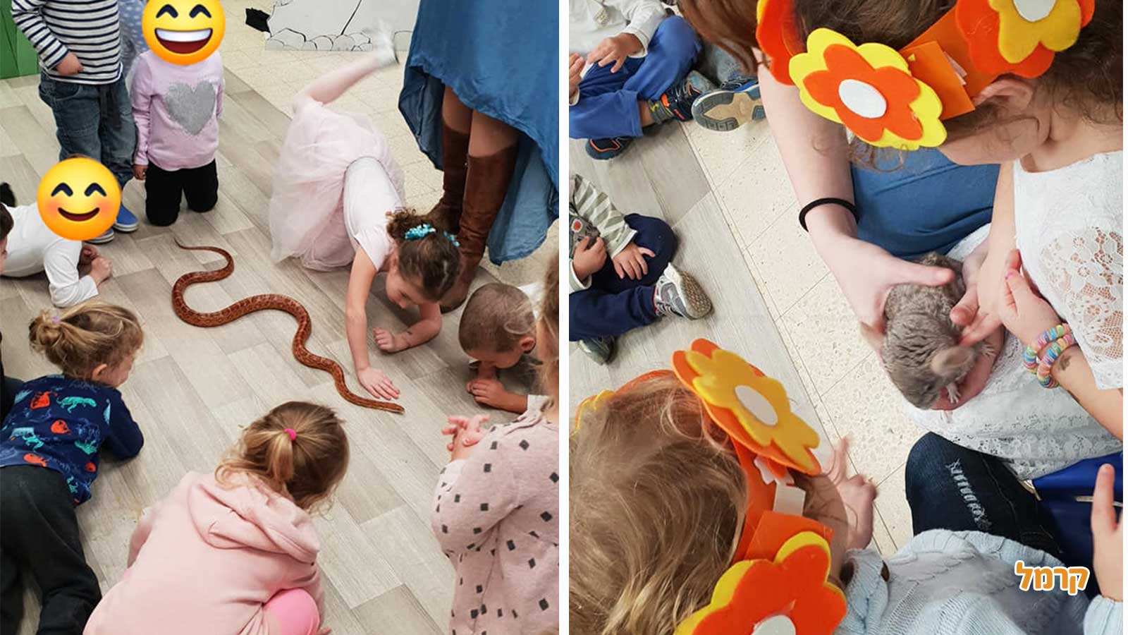 מופע חיות עם מיטול - 073-7813493