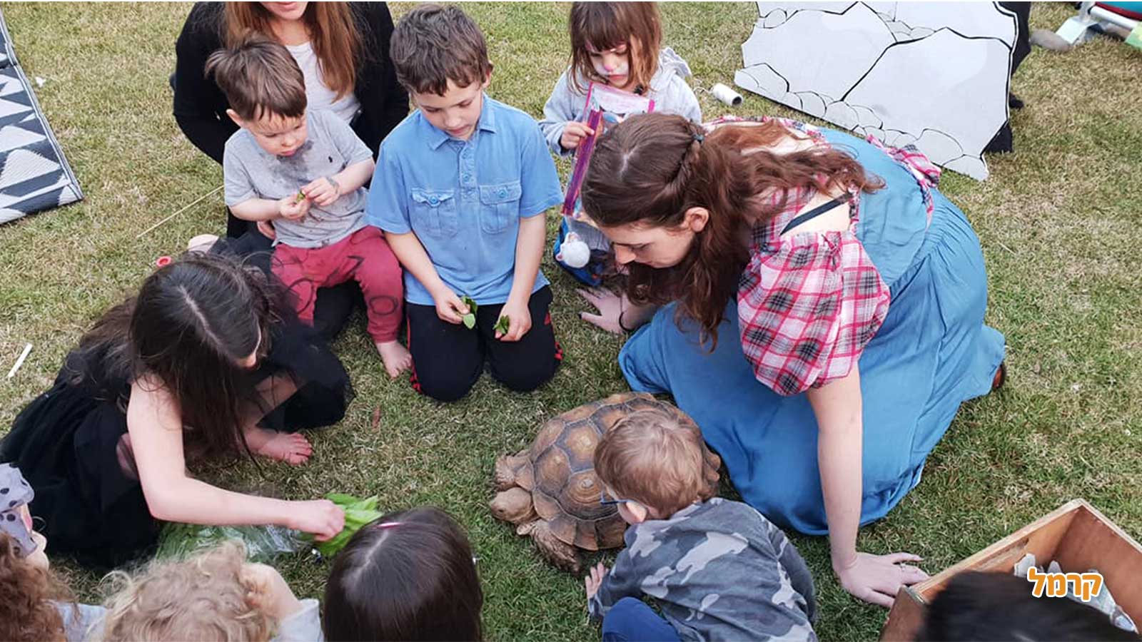 מופע חיות עם מיטול - 073-7813493