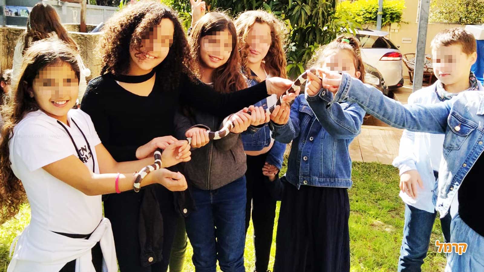 גן החיות שלי - 073-7590774