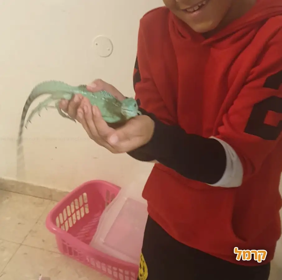 גן החיות שלי - 073-7590774