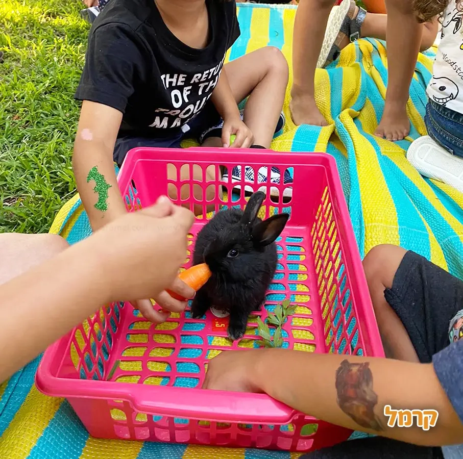 גן החיות שלי - 073-7590774