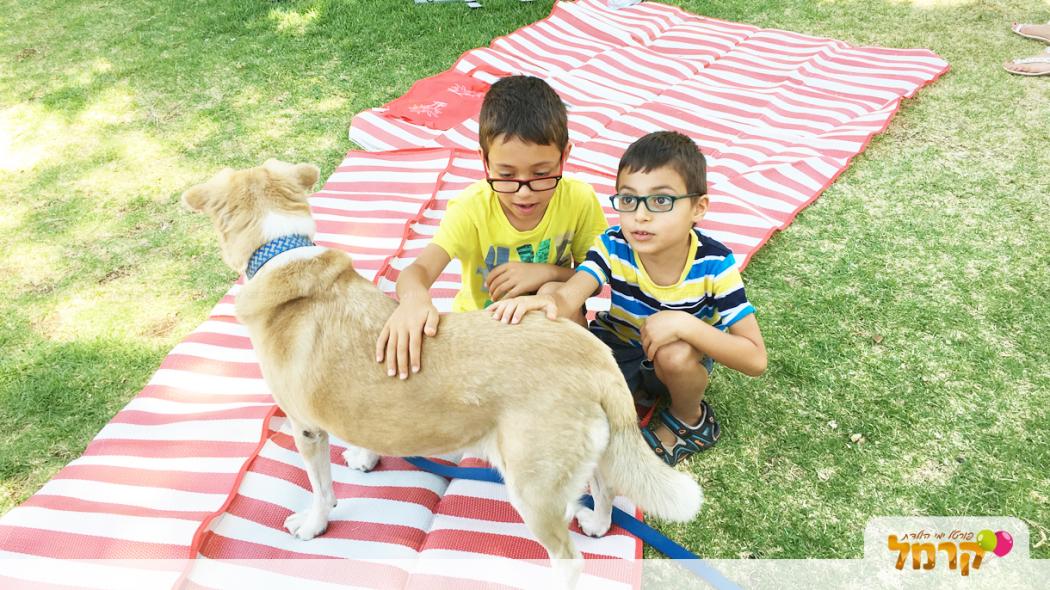 עולם הכלבים של תומר - 073-7585455