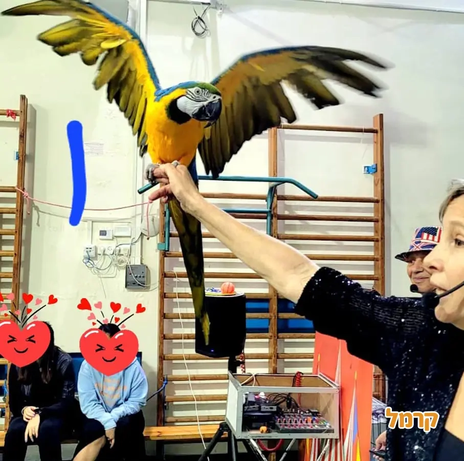 קרקס החיות של מרינה - 073-7585026